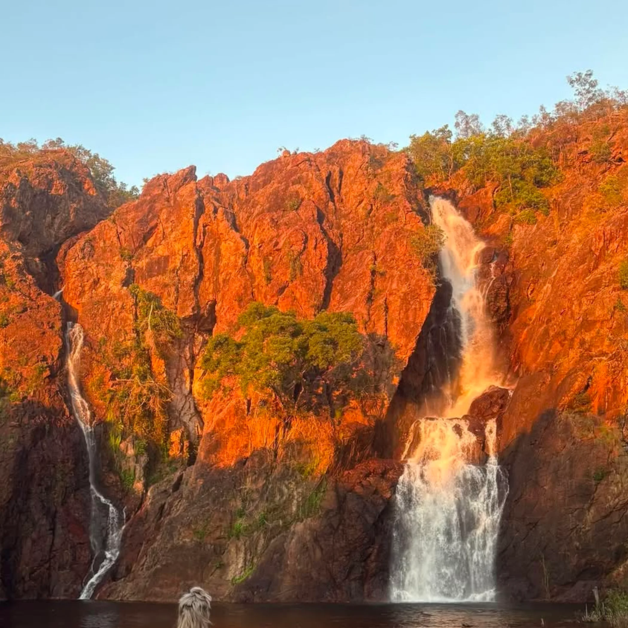wangi falls cascading water surrounded by greenery