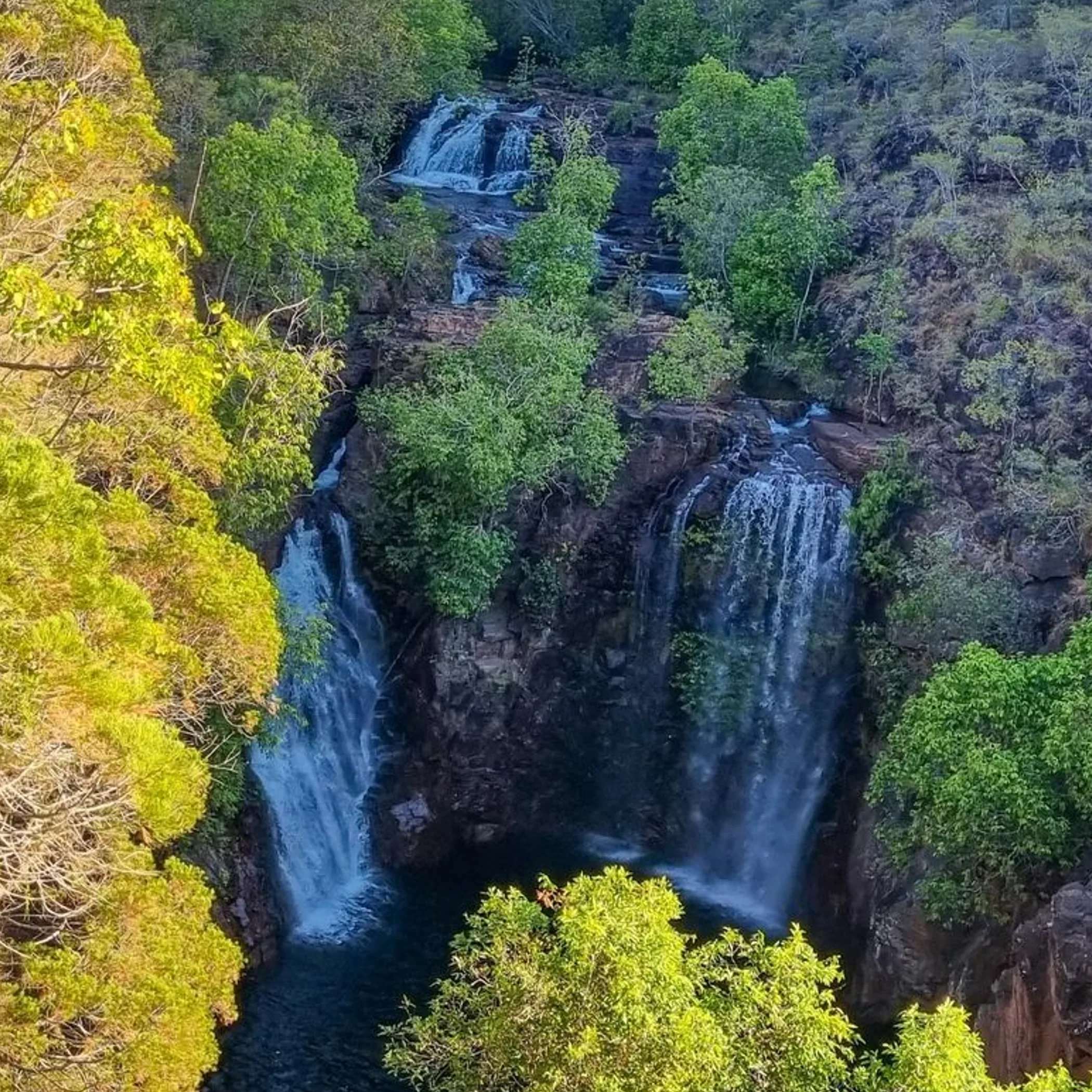waterfall surrounded by lush greenery